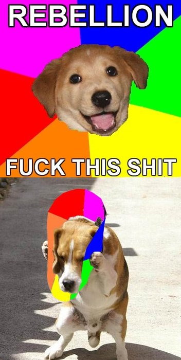 [image loading]