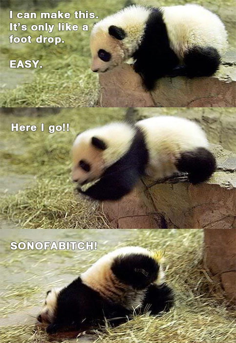 Panda fail