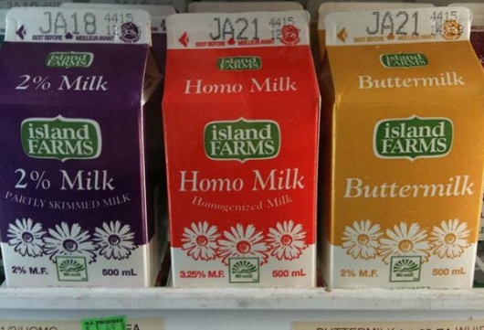 Homo milk