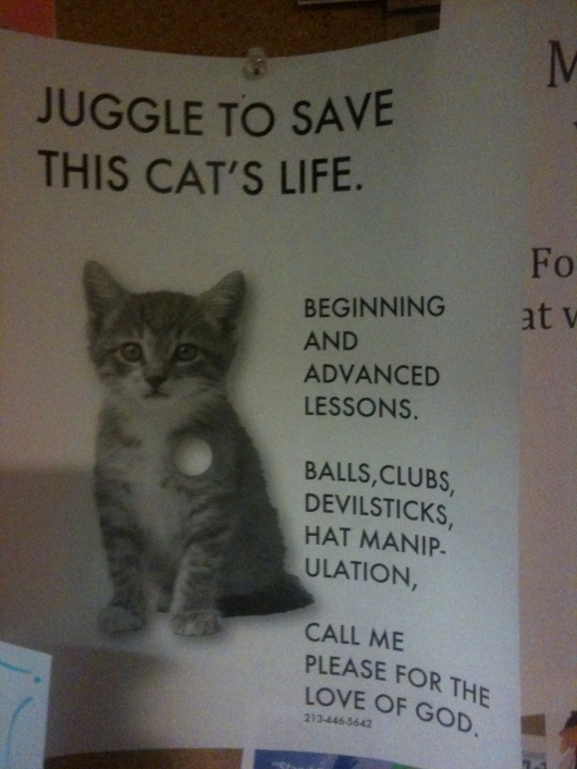 Juggle to save this cat's life Really funny pictures collection on