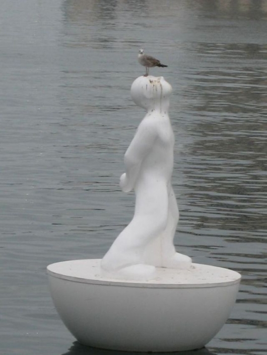 Bird vs. statue