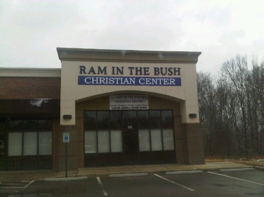 Ram in the bush
