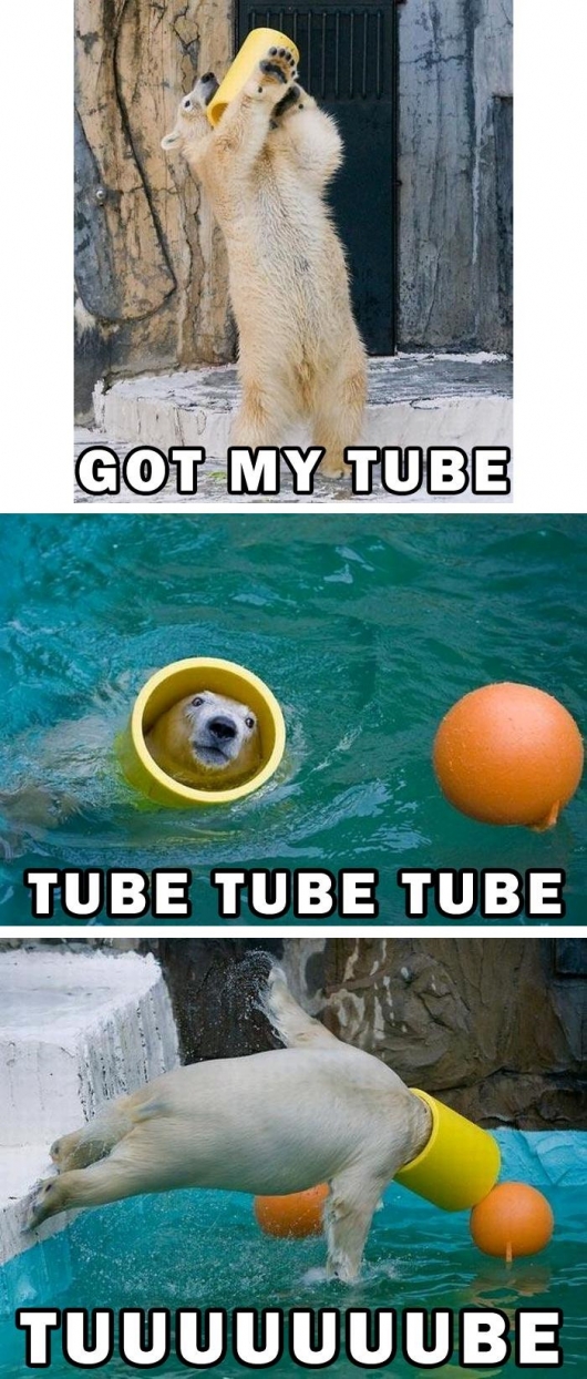 Tube bear