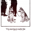 Police dog problems Police dog problems
