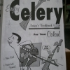 Celery - nature's toothbrush