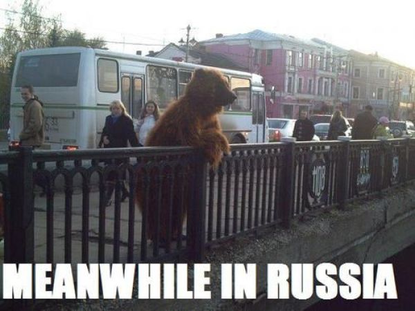 Image: meanwhile-in-russia-big.jpg