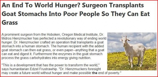 An end to world hunger