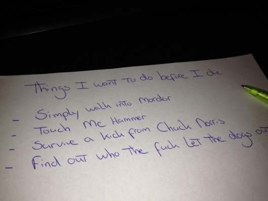 Things I want to do before I die - Really funny pictures collection on