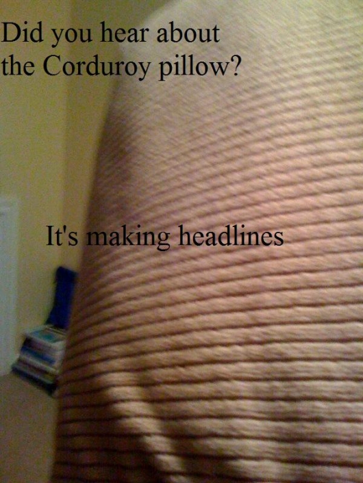 Corduroy pillow Really funny pictures collection on