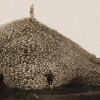 Bison skull pile, c. 1870 Bison skull pile, c. 1870