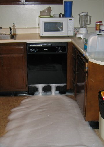 Dishwasher fail