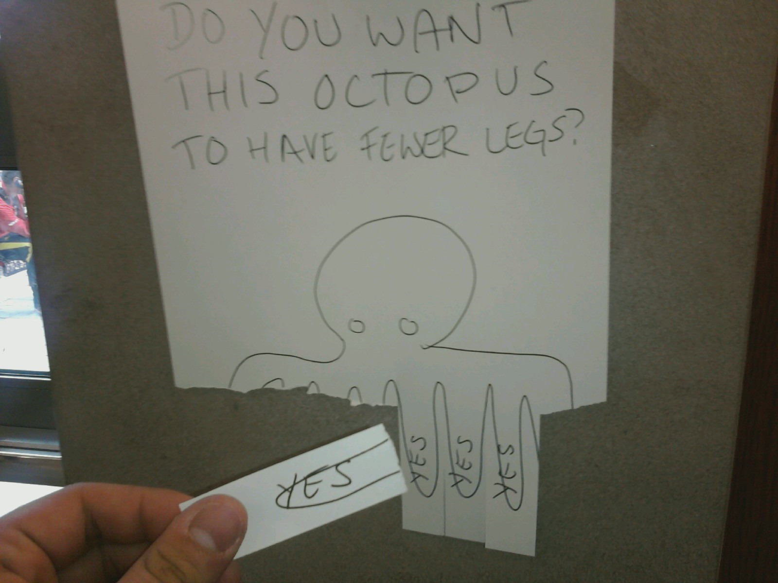 Do You Want This Octopus To Have Fewer Legs Really Funny Pictures Do You Want This Octopus To Have Fewer Legs Really Funny Pictures