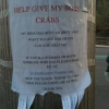Help give my boss crabs Help give my boss crabs