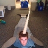 Narwhal cosplay