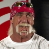 Hulk Hogan's chin