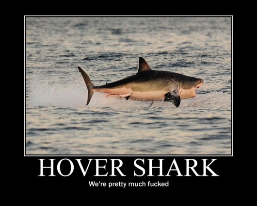 Hover shark