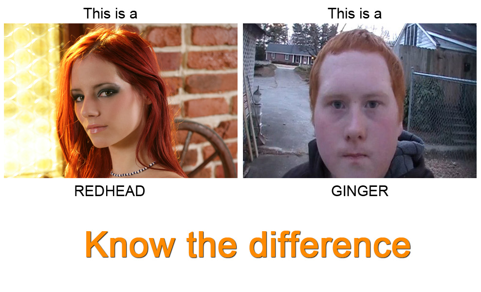 Reddit why do people seem to hate/make fun of redheads (aka gingers