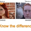 Redhead vs. ginger Redhead vs. ginger