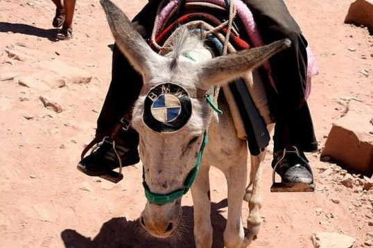 BMW donkey