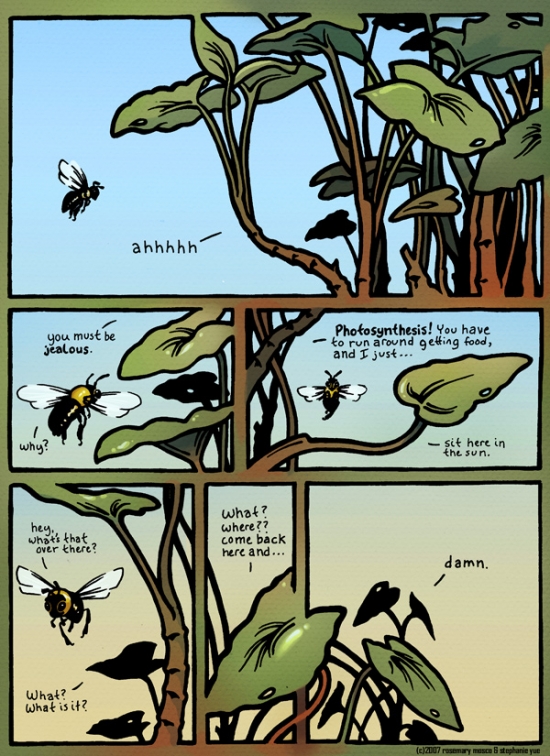 Bee vs. plant