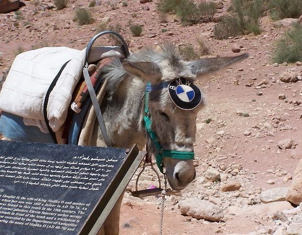 BMW donkey - Really funny pictures collection on picshag.com