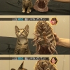 Cats will eat anything