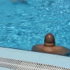 Dickhead
