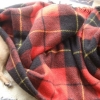 Dog has a dyed ass