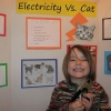 Electricity vs. cat