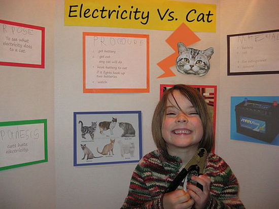 [Image: electricity-vs-cat.jpg]