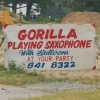 Gorilla playing saxophone Gorilla playing saxophone