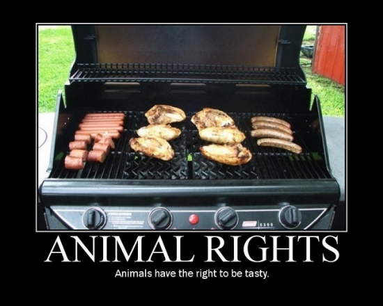 Motivational poster: Animal rights