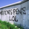 Penis tag