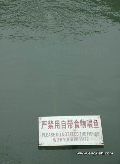 Please do not feed the fishes