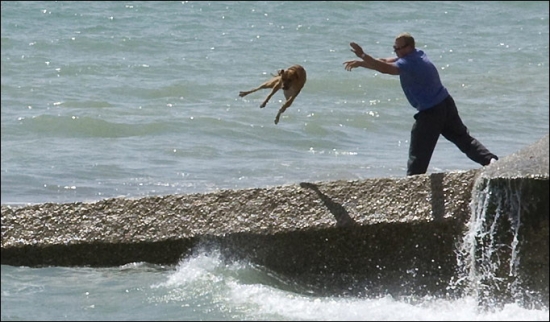 Sending the dog swimming