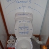 Toilet target