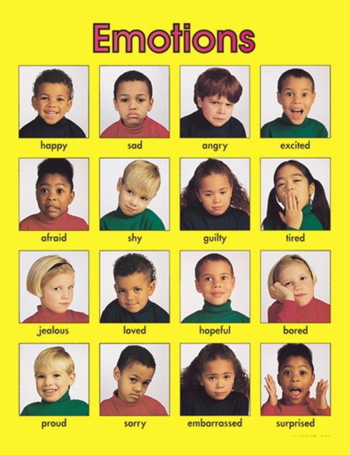Emotion Chart Really Funny Pictures Collection On Picshag