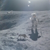 Cat spotted on moon