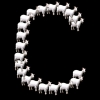 Goat C