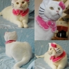Hello kitty cat costume