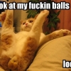 Look at my f**king balls Look at my f**king balls