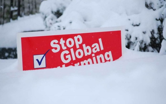 Stop global warming
