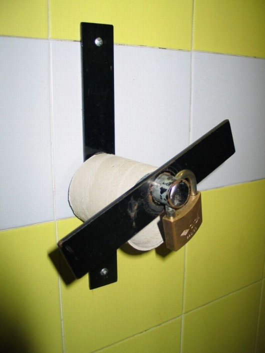 Toilet paper protection