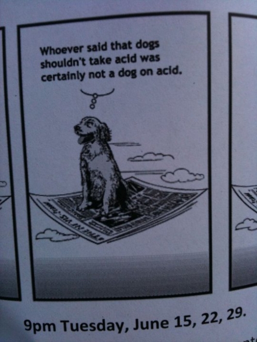 Dog on acid