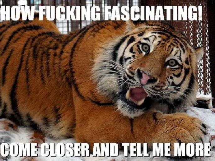 [Image: tell-me-more-big.jpg]