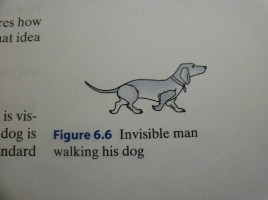 Invisible man walking his dog