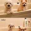Before and after