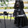 Dog Darth Vader costume