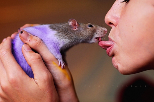 French-kissing a mouse