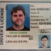 Funny driver's licence photo